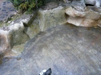 庭池 防水工事,庭池 FRP防水