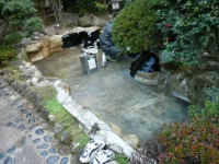 庭池 防水工事,庭池 FRP防水