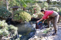 庭池 防水工事,庭池 FRP防水