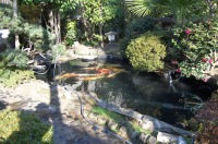 庭池 防水工事,庭池 FRP防水