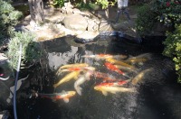 庭池 防水工事,庭池 FRP防水