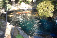 庭池 防水工事,庭池 FRP防水