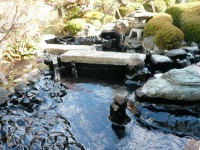 庭池 防水工事,庭池 FRP防水,池 水漏れ