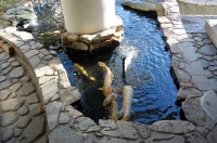 庭池　防水工事,庭池　FRP防水,池　水漏れ