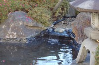 庭池 防水工事,庭池 FRP防水,池 水漏れ