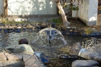 庭池 防水工事,庭池 FRP防水,池 水漏れ