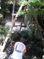 池 リフォーム,錦鯉池 改修,庭池 施工