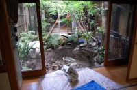 池 リフォーム,錦鯉池 改修,庭池 施工