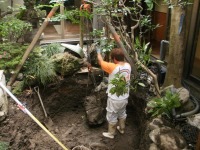 池 リフォーム,錦鯉池 改修,庭池 施工