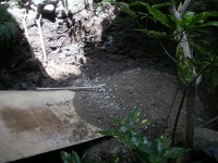 池 リフォーム,錦鯉池 改修,庭池 施工