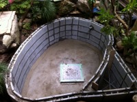 池 リフォーム,錦鯉池 改修,庭池 ブロック積み