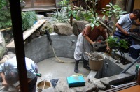 池 リフォーム,錦鯉池 改修,庭池 石組み