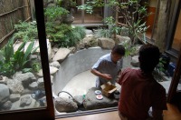 池 リフォーム,錦鯉池 改修,庭池 石組み