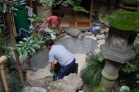 池 リフォーム,錦鯉池 改修,庭池 池用塗料