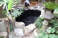 池 リフォーム,錦鯉池 改修,池用塗料 塗り方