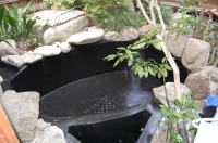 池 リフォーム,錦鯉池 改修,池用塗料 塗り方