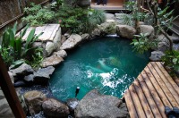 池 リフォーム,錦鯉池 改修,庭池 施工