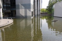 庭池 掃除,錦鯉池 清掃,庭池 高圧水洗い