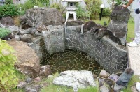 池 リフォーム,錦鯉池 改修,庭池 施工