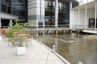 庭池 掃除,錦鯉池 清掃,庭池 高圧水洗い