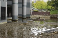 庭池 掃除,錦鯉池 清掃,庭池 高圧水洗い