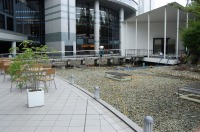 庭池 掃除,錦鯉池 清掃,庭池 高圧水洗い