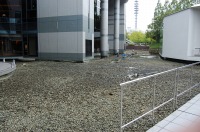 庭池 掃除,錦鯉池 清掃,庭池 高圧水洗い