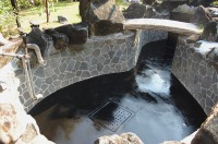 池 リフォーム,錦鯉池 改修,庭池 池用塗料