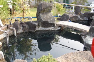 池 リフォーム,錦鯉池 改修,庭池 工事