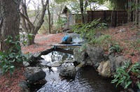 庭池 防水工事,庭池 FRP防水,池 水漏れ