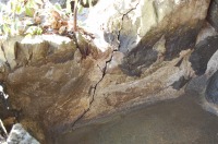 庭池 防水工事,庭池 FRP防水,池 水漏れ修理