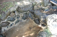 庭池 防水工事,庭池 FRP防水,池 高圧水洗い