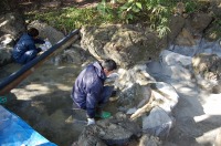 庭池 防水工事,庭池 FRP防水,池 水漏れ