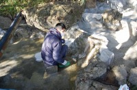 庭池 防水工事,庭池 FRP防水,池 水漏れ修理