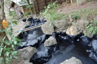 庭池 防水工事,庭池 FRP防水,池 水漏れ