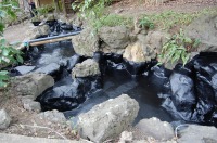 庭池 防水工事,庭池 FRP防水,池 水漏れ