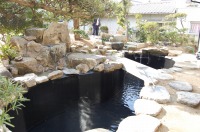 池の深さ,錦鯉 池の深さ