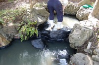 庭池 防水工事,庭池 FRP防水,池 水漏れ