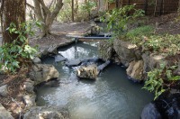 庭池 防水工事,庭池 FRP防水,池 水漏れ