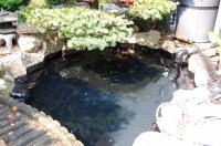 庭池 防水工事,庭池 FRP防水,池 水漏れ修理