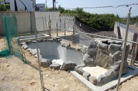 錦鯉 洋風池,錦鯉 和風池,コンクリート池 左官