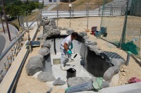 錦鯉 洋風池,錦鯉 和風池,コンクリート池 池用塗料