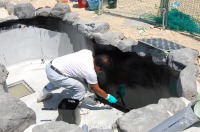 錦鯉 洋風池,錦鯉 和風池,コンクリート池 池用塗料