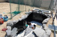 錦鯉 洋風池,錦鯉 和風池,コンクリート池 池用塗料