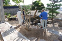 錦鯉 和風池,庭池 施工