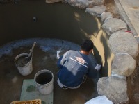 錦鯉 和風池,庭池 施工,和風鑑賞池 左官