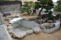 錦鯉 和風池,庭池 施工,和風鑑賞池 左官