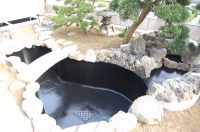錦鯉 和風池,庭池 施工,和風鑑賞池 集水ピット