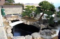 錦鯉 和風池,庭池 施工,和風鑑賞池 池用塗料