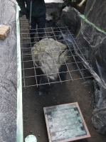 池 リフォーム,池 改修,庭池 業者